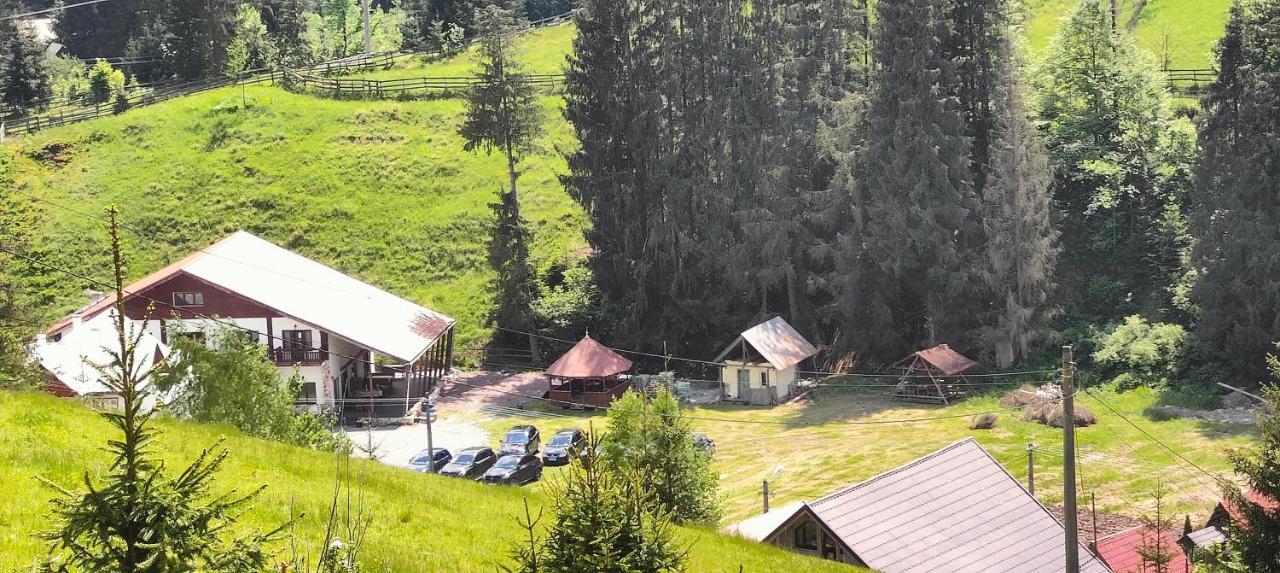 Pensiunea Trei Brazi Arieseni Exterior photo