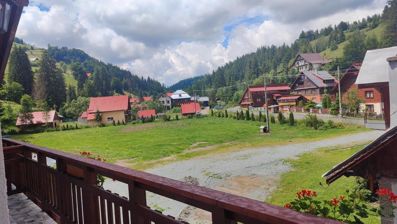 Pensiunea Trei Brazi Arieseni Exterior photo