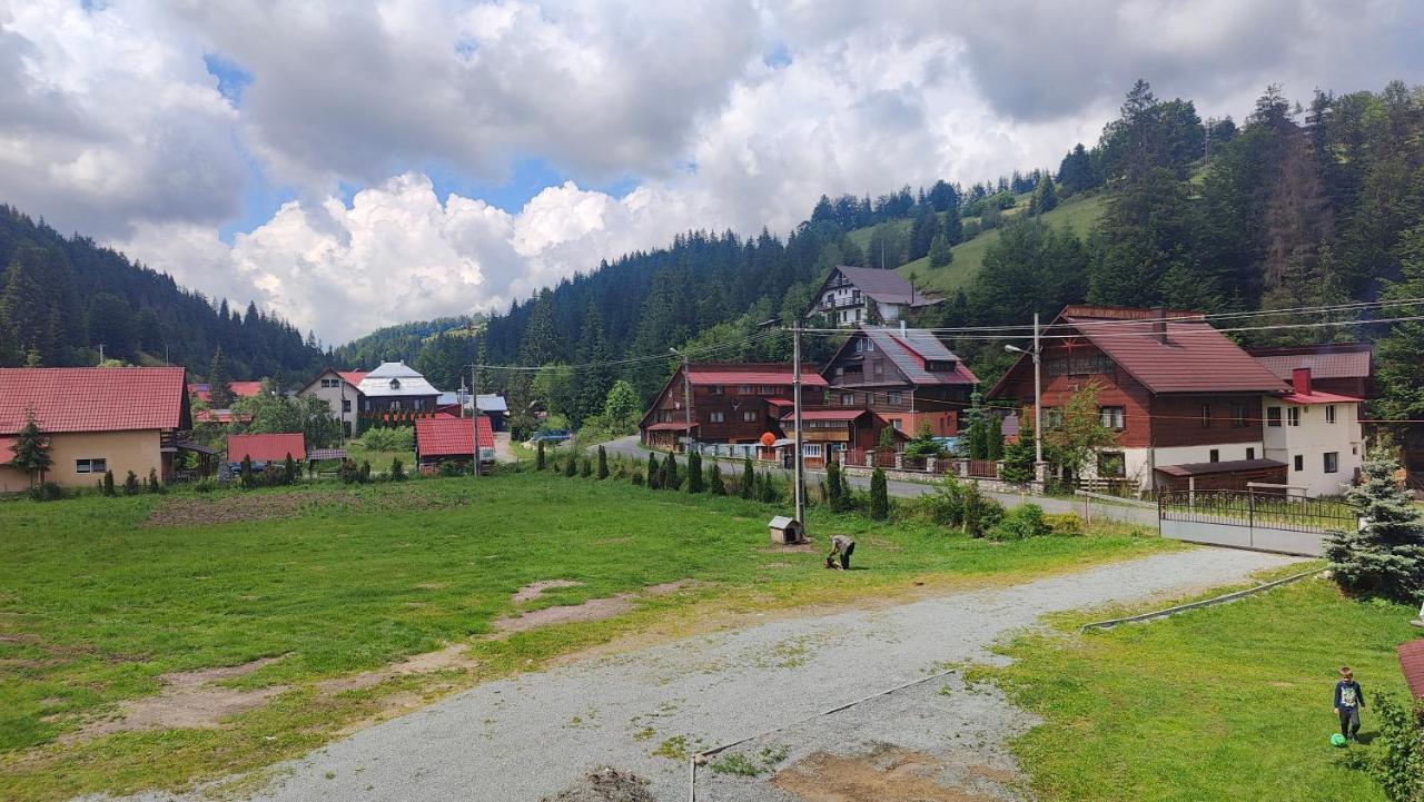 Pensiunea Trei Brazi Arieseni Exterior photo